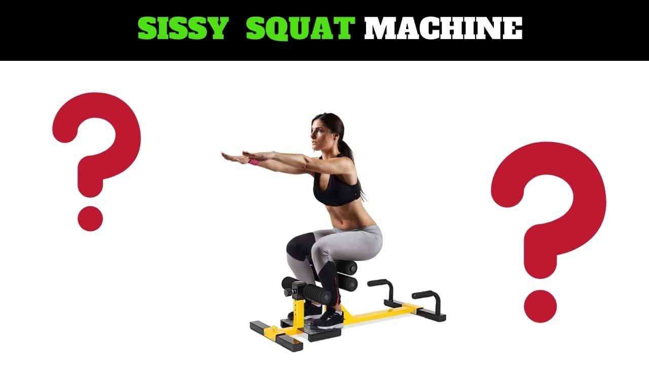 Sissy squat machine
